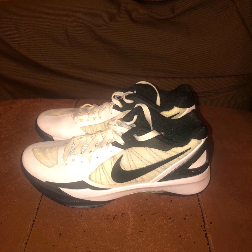 Nike Hyperdunk Low